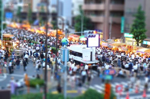 入谷の朝顔市